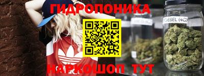 эйфоретик Краснодар
