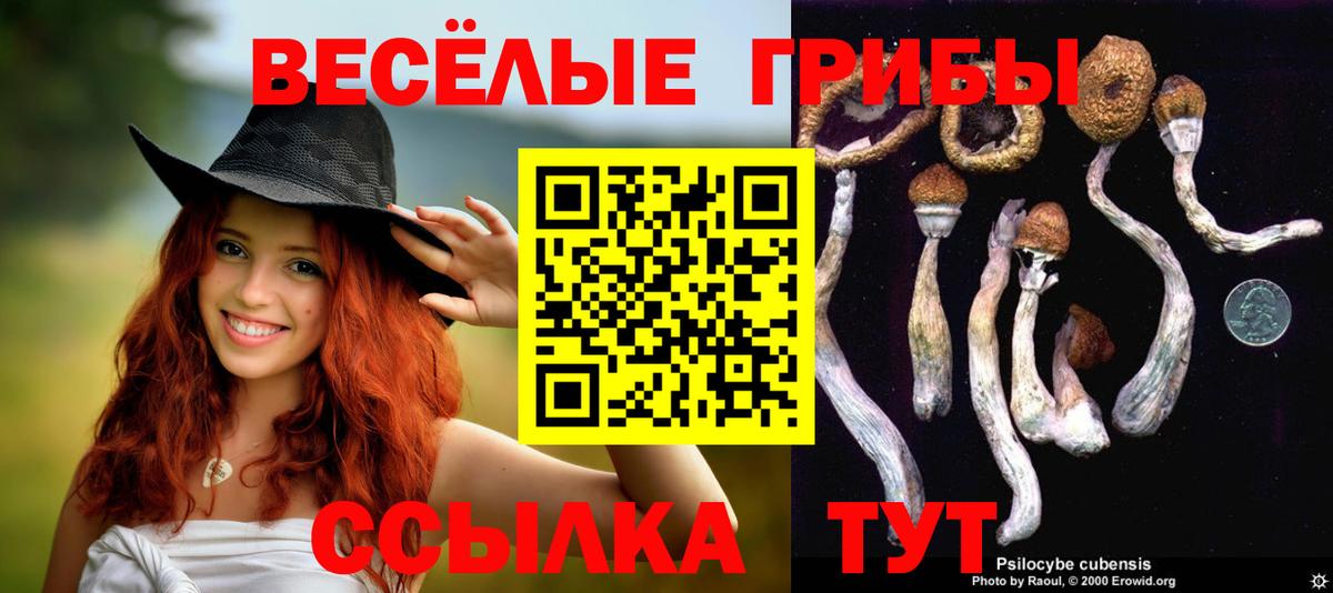 Галлюциногенные грибы ЛСД Ишим