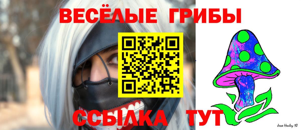 A-PVP Ишим